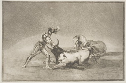A Spanish Knight Kills the Bull 