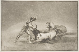 A Spanish Knight Kills the Bull 