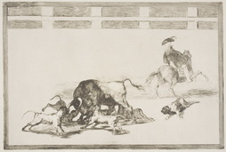 They [Set] Loose Dogs on the Bull (Echan perros al toro) (plate
25)


