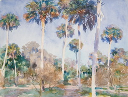 Palms